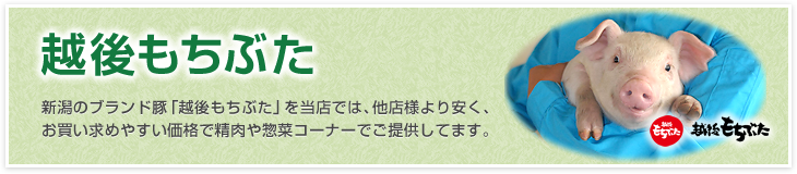 【越後もちぶた】新潟のブランド豚「越後もちぶた」を当店では、他店様より安く、お買い求めやすい価格で精肉や惣菜コーナーでご提供してます。